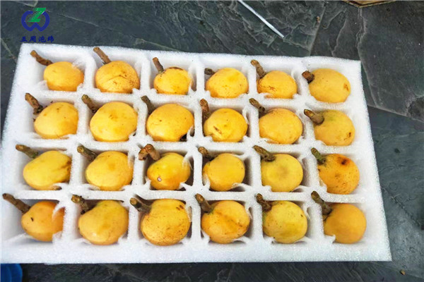 枇杷托是用哪種包裝材料？